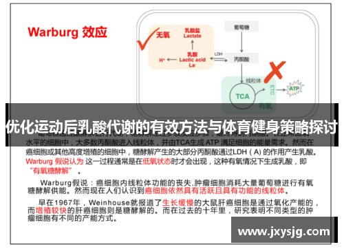 优化运动后乳酸代谢的有效方法与体育健身策略探讨