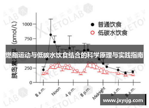 燃脂运动与低碳水饮食结合的科学原理与实践指南